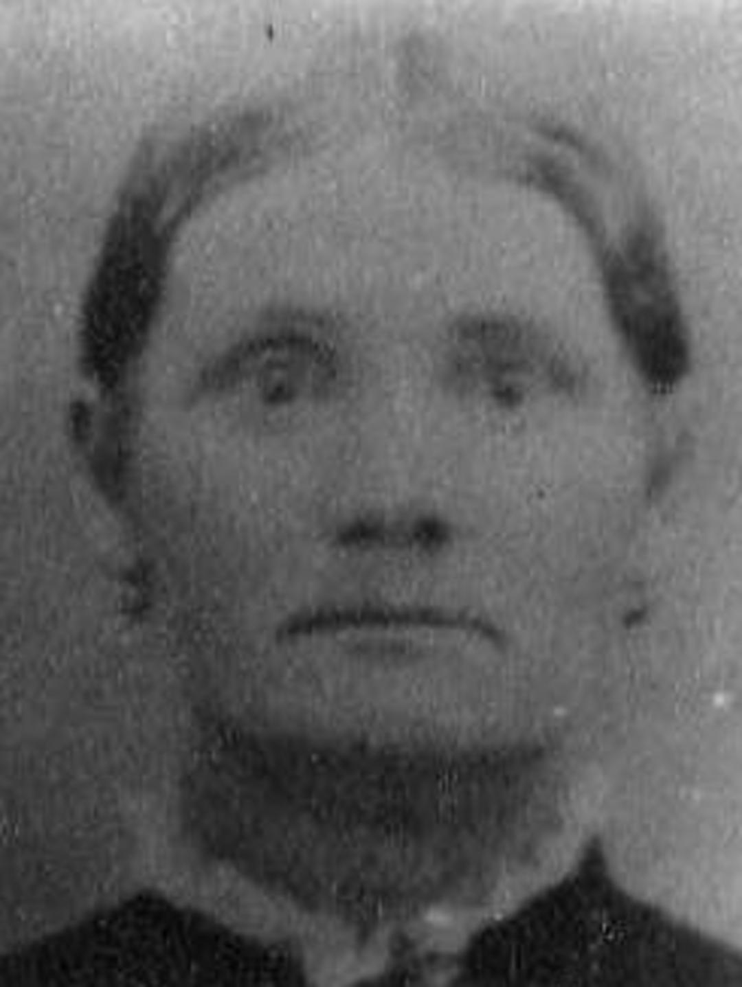 Sarah Elizabeth Robison (1847 - 1936) Profile